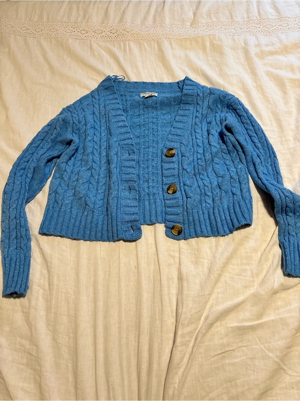 American Eagle Outfitters Sky Blue Cropped Cable Knit Button-Front Cardigan